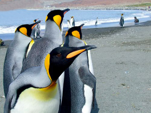 Station_5_Paradise_Bay