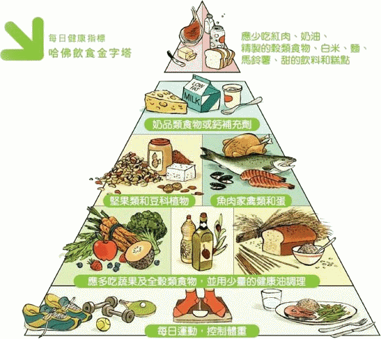 Harvard University New Food Pyramid